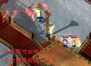 抉择属性如何加点？新手必看经验技巧分享