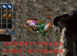 如何快速成长为传奇私服合击版霸主？新手攻略全解析
