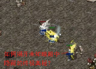 如何揭开未知暗殿中隐藏的终极奥秘？