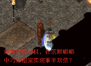 如何把握时机，在沉默嘟嘟中巧妙招宠实现事半功倍？