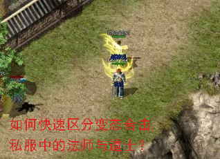 如何快速区分变态合击私服中的法师与道士？