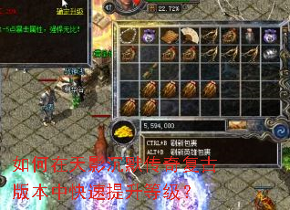 如何在天影沉默传奇复古版本中快速提升等级？