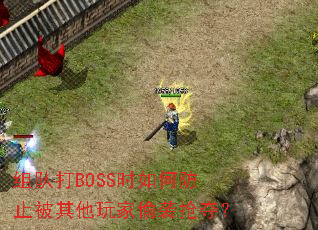 组队打BOSS时如何防止被其他玩家偷袭抢夺？