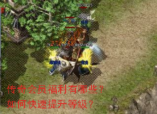 传奇会员福利有哪些?如何快速提升等级? 传奇会员福利有哪些?如何快速提升等级?