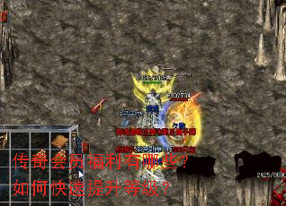 传奇会员福利有哪些?如何快速提升等级? 传奇会员福利有哪些?如何快速提升等级?