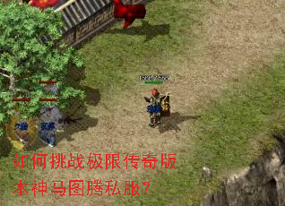 如何挑战极限传奇版本神马图腾私服？