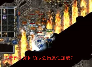 传奇新手如何领取会员属性加成? 传奇新手如何领取会员属性加成?