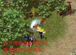 新开传奇道士召唤神兽真的那么厉害吗? 新开传奇道士召唤神兽真的那么厉害吗?