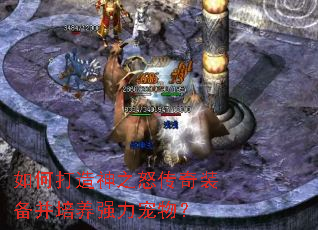 如何打造神之怒传奇装备并培养强力宠物？