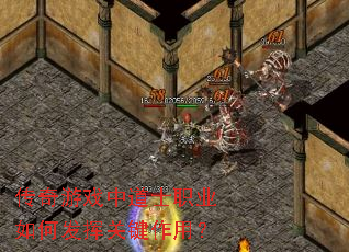 传奇游戏中道士职业如何发挥关键作用？
