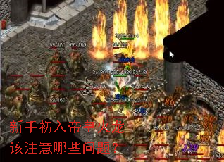 新手初入帝皇火龙该注意哪些问题？