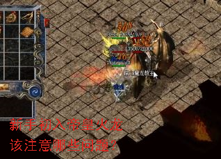新手初入帝皇火龙该注意哪些问题？