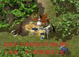 如何在传奇游戏中寻找比奇私人服务,开启巅峰游戏人生? 如何在传奇游戏中寻找比奇私人服务,开启巅峰游戏人生?