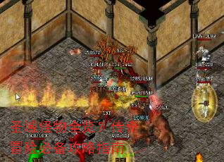 圣域怪物全览？传奇冒险必备攻略指南