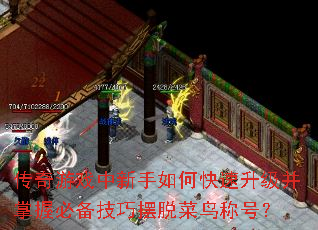 传奇游戏中新手如何快速升级并掌握必备技巧摆脱菜鸟称号？
