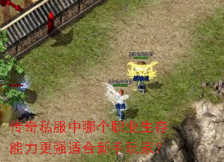 传奇私服中哪个职业生存能力更强适合新手玩家? 传奇私服中哪个职业生存能力更强适合新手玩家?