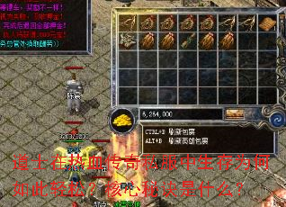 道士在热血传奇私服中生存为何如此轻松？核心秘诀是什么？