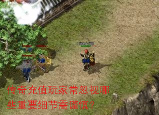 传奇充值玩家常忽视哪些重要细节需谨慎？