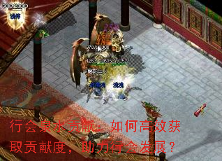 行会泉水贡献：如何高效获取贡献度，助力行会发展？