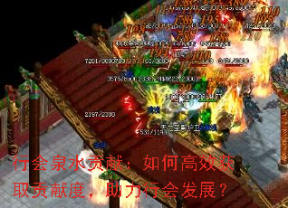 行会泉水贡献：如何高效获取贡献度，助力行会发展？