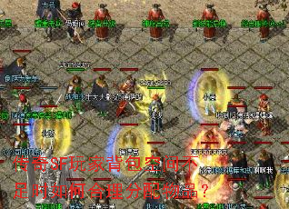 传奇SF玩家背包空间不足时如何合理分配物品? 传奇SF玩家背包空间不足时如何合理分配物品?