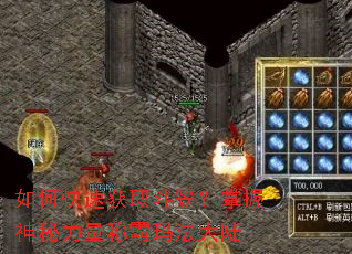 如何快速获取斗笠?掌握神秘力量称霸玛法大陆 如何快速获取斗笠?掌握神秘力量称霸玛法大陆