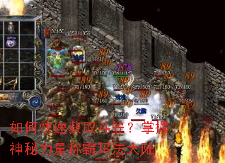 如何快速获取斗笠?掌握神秘力量称霸玛法大陆 如何快速获取斗笠?掌握神秘力量称霸玛法大陆