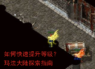 如何快速提升等级？玛法大陆探索指南