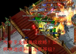 传奇圣龙盾满级攻略？如何快速提升圣龙盾等级？