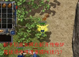 新手玩家如何在新开传奇SF竞技场中快速掌握PK技巧？