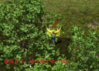 魔盾在手，战士道士全不怕？