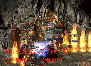 为什么大家都爱玩战士职业？新手入门必看攻略