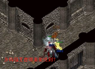 多钩猫王在哪里能找到？