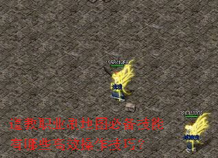 道教职业刷地图必备技能有哪些高效操作技巧? 道教职业刷地图必备技能有哪些高效操作技巧?