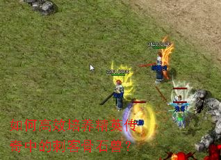 如何高效培养精英传奇中的刺客骨石兽? 如何高效培养精英传奇中的刺客骨石兽?