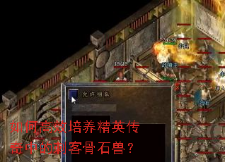 如何高效培养精英传奇中的刺客骨石兽? 如何高效培养精英传奇中的刺客骨石兽?