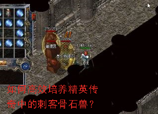 如何高效培养精英传奇中的刺客骨石兽? 如何高效培养精英传奇中的刺客骨石兽?