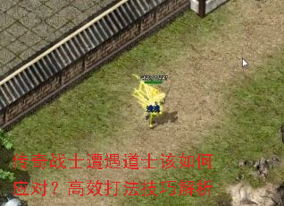 传奇战士遭遇道士该如何应对？高效打法技巧解析