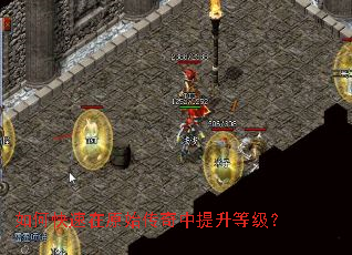 如何快速在原始传奇中提升等级？