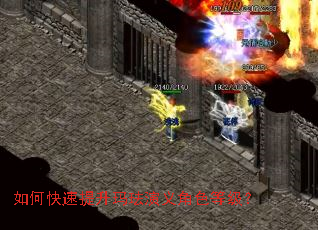 如何快速提升玛珐演义角色等级？