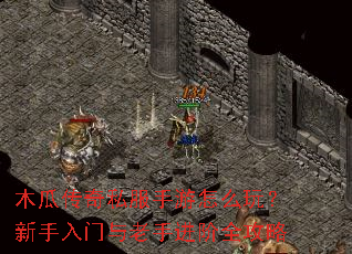 木瓜传奇私服手游怎么玩?新手入门与老手进阶全攻略 木瓜传奇私服手游怎么玩?新手入门与老手进阶全攻略