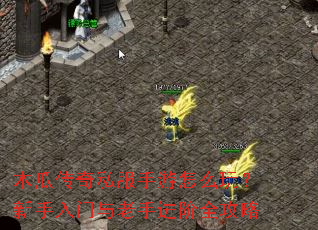 木瓜传奇私服手游怎么玩?新手入门与老手进阶全攻略 木瓜传奇私服手游怎么玩?新手入门与老手进阶全攻略