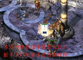 木瓜传奇私服手游怎么玩?新手入门与老手进阶全攻略 木瓜传奇私服手游怎么玩?新手入门与老手进阶全攻略