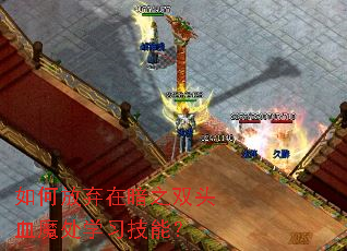 如何放弃在暗之双头血魔处学习技能? 如何放弃在暗之双头血魔处学习技能?