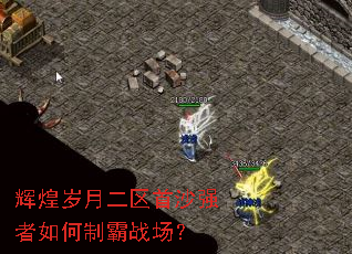 辉煌岁月二区首沙强者如何制霸战场？