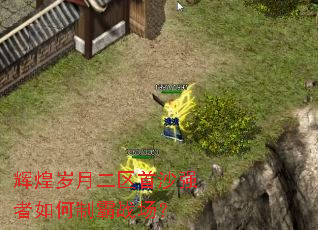 辉煌岁月二区首沙强者如何制霸战场？