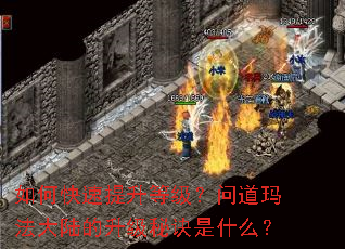 如何快速提升等级?问道玛法大陆的升级秘诀是什么? 如何快速提升等级?问道玛法大陆的升级秘诀是什么?