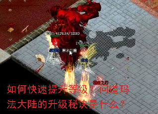 如何快速提升等级?问道玛法大陆的升级秘诀是什么? 如何快速提升等级?问道玛法大陆的升级秘诀是什么?
