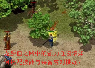 龙源血之路中的强力怪物该如何搭配技能与装备应对挑战? 龙源血之路中的强力怪物该如何搭配技能与装备应对挑战?