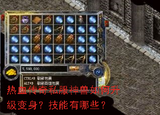 热血传奇私服神兽如何升级变身?技能有哪些? 热血传奇私服神兽如何升级变身?技能有哪些?